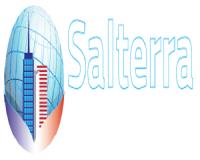 Salterra Affordable SEO image 1